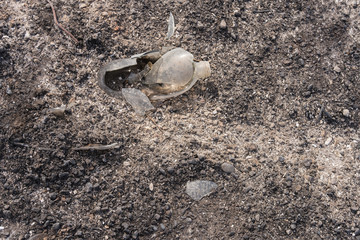 Glass and metal garbage exposed by the Thomas Fire along Highway 150 near Lake Casitas.