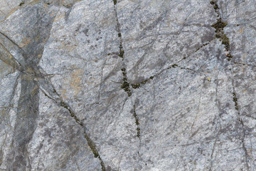 The texture of the stone slab with moss