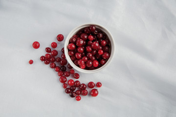 Cranberry on a white background