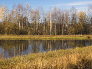 Fototapeta na wymiar Yellow grass and lake