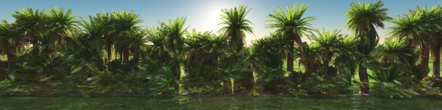 row of palms
