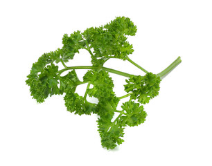 parsley isolated on a white background top view
