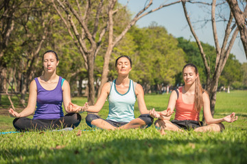 mother and daughter doing yoga exercises in green park , family activity concept