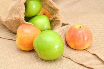 different colors apples on burlap background