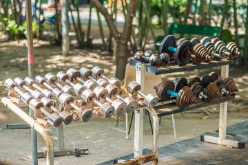 rows of iron dumbbells on rack