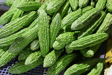 Cucumber