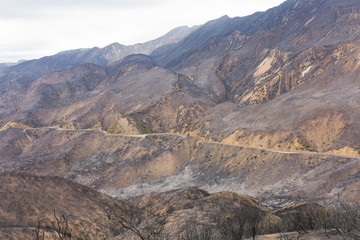 Naklejka na ściany i meble Landscape damaged by the Thomas Fire along Highway 33 in Ojai, California