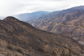 Fototapeta premium Landscape damaged by the Thomas Fire along Highway 33 in Ojai, California