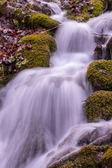 water flowing over moss close up