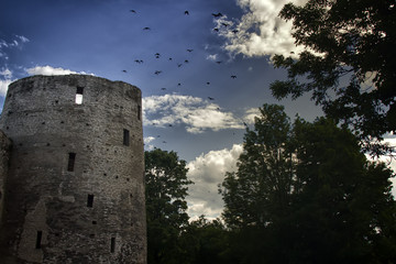 black birds over old castle
