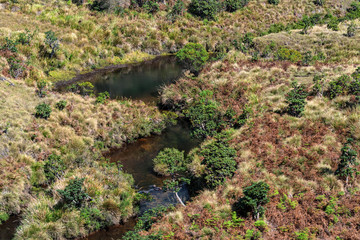 Road leading to Horton Plains, Sri Lanka