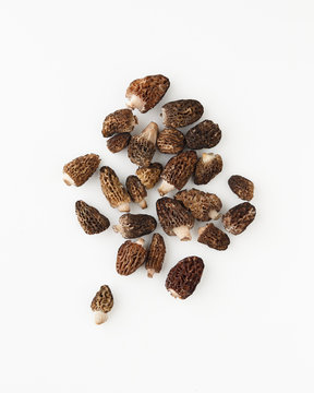 morel on white background