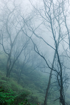 Misty landscape on volcano