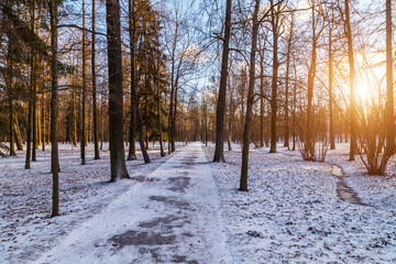 Park in Pushkin in winter