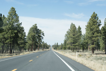 Fototapeta premium On the Road