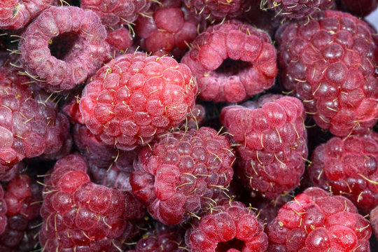 Fresh raspberries macro background