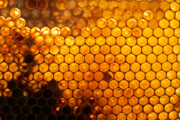Honeycomb
