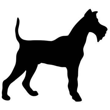 Silhouette of a dog. terrier black illustration