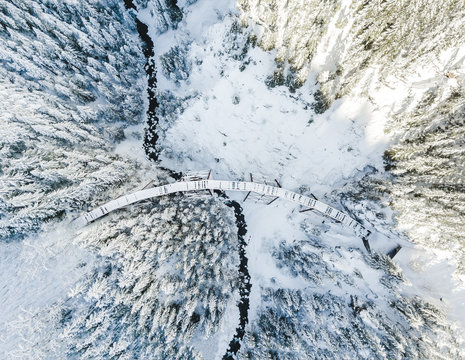 The bridge - Powered by Adobe