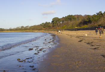 The beach at ballyholme in County down in Northern Ireland