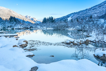 Reflection in the pond of Zelenci pond (river Sava spring)