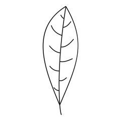 Tree leaf icon, outline style