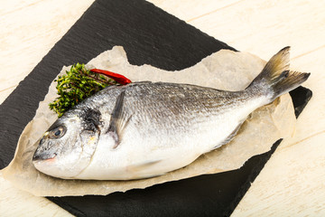 raw dorada fish