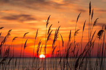 Chesapeake Bay Sunrise