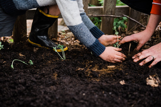 mother and son gardening together