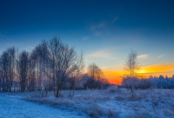 Cold winter landscape with a clear sky and a beautiful view