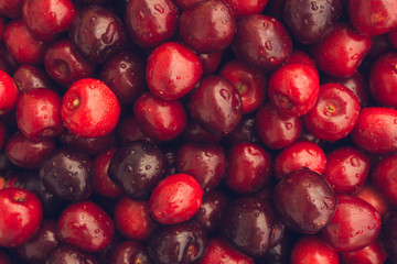 Cherry.  Fruit background