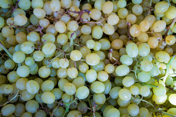 white grapes. Green Grape Background