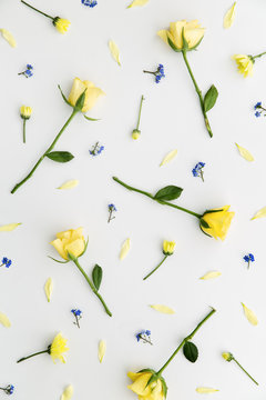 Yellow rose background