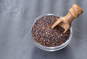 Seeds of black quinoa - Chenopodium quinoa