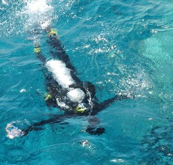 Scuba diving in the Red Sea