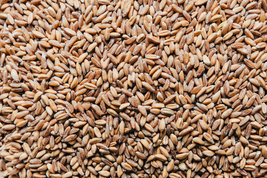Spelt