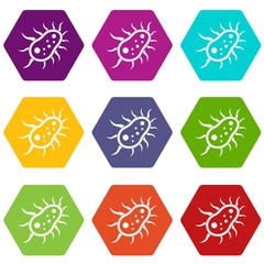 Bacteria centipede icon set color hexahedron