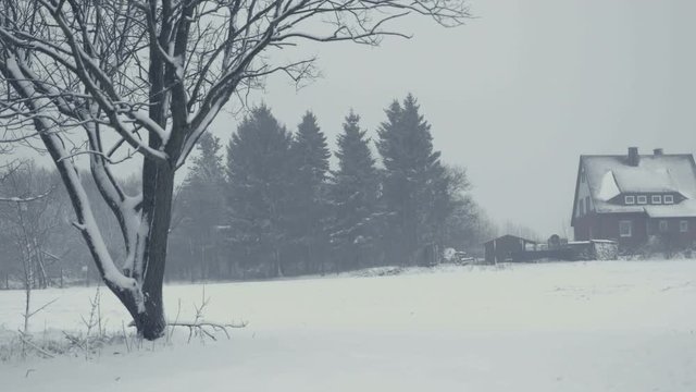 Winter landscape with falling snow. Everything is covered with fresh powder. Intense atmosphere like Nordic detectives. Winter background for Christmas theme. Static day shot.