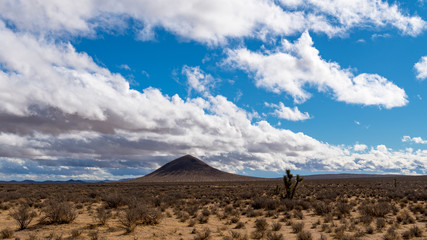 Fototapeta na wymiar Mojave Desert 