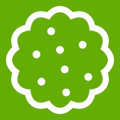 Cookies icon green