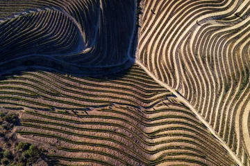 Fototapete Rund Luftbild Aerial view of the vineyards in the hills of the douro valley  Concept for travel in Portugal and in the Douro Valley, visit Portugal and most beautiful places in Portugal  © Tiago Fernandez