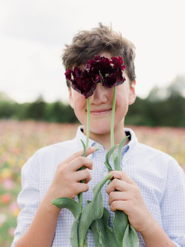 Boy and Tulips