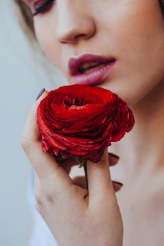 Close up of woman holding red ranunculus flower