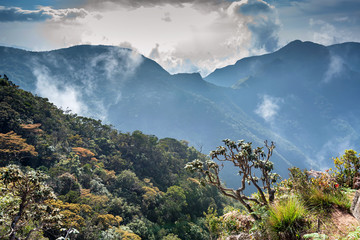 Scenic misty view of World's End in Sri Lanka