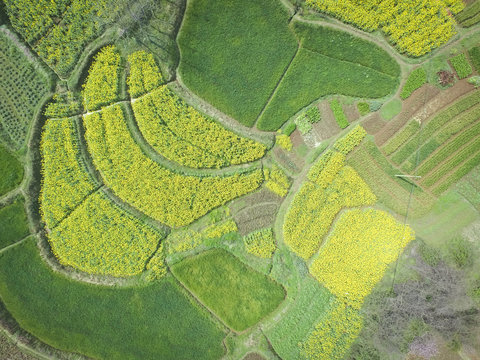 Aerial photography bird eye-view of land farmland and nature lan
