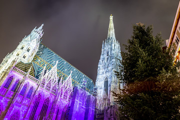 Obraz premium St. Stephen's Cathedral.in Vienna in Christmas time