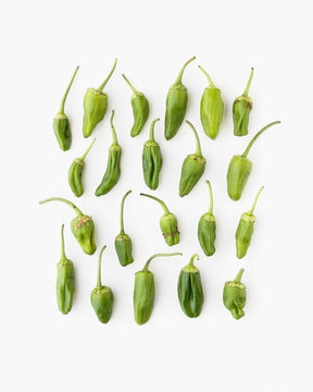 padron shishito pepper on white background