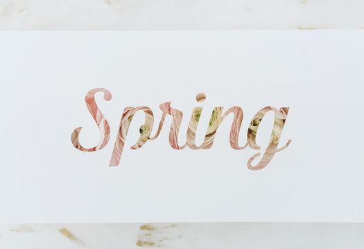 Spring word written on white background