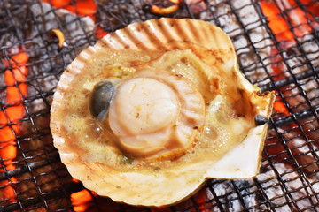  Fresh japanese scallop (hotate) with shell on the grill with flames