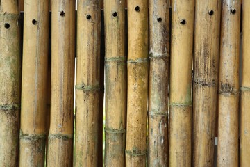 This wall bamboo background